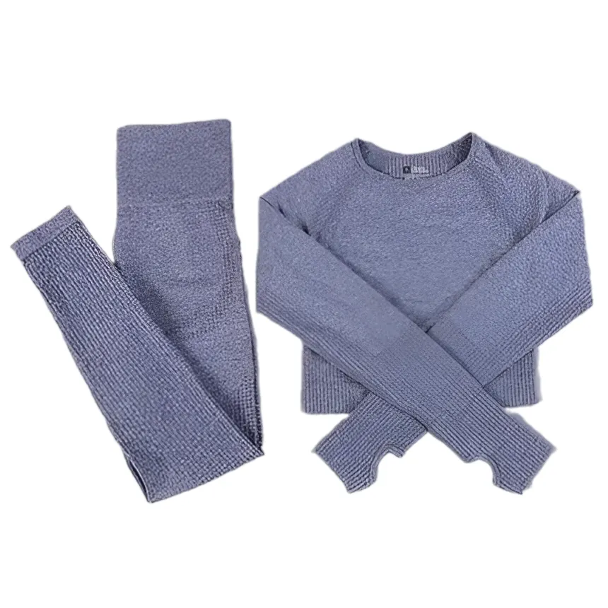 2/3PCS Seamless Women Workout Sportswear