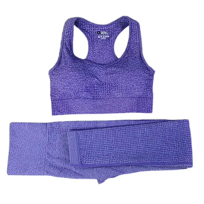 2/3PCS Seamless Women Workout Sportswear