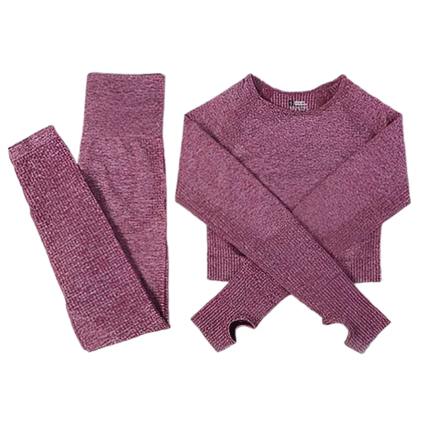 2/3PCS Seamless Women Workout Sportswear
