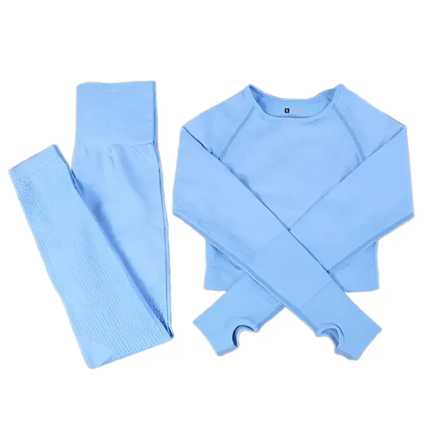 2/3PCS Seamless Women Workout Sportswear