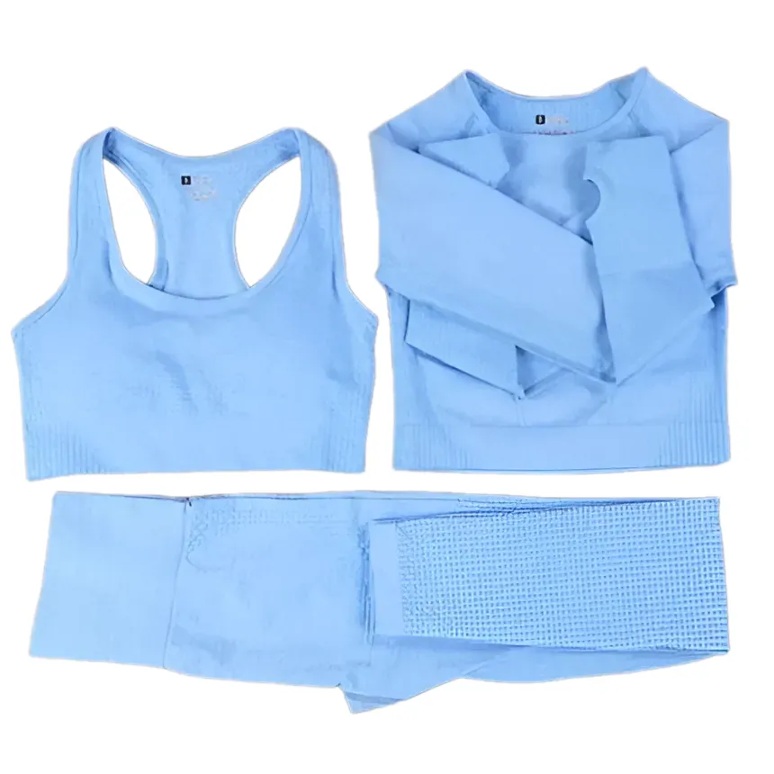 2/3PCS Seamless Women Workout Sportswear