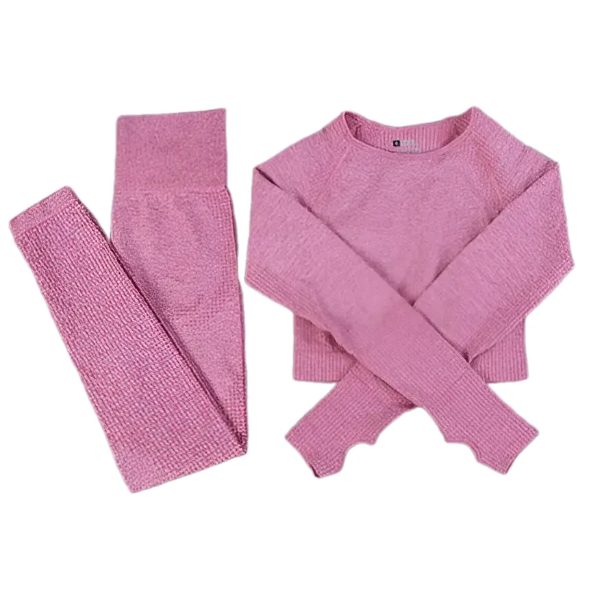 2/3PCS Seamless Women Workout Sportswear
