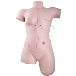 3B Scientific P100 Wound Care / Bandaging Technique Trainer