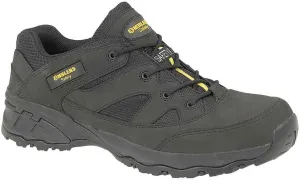 Amblers mens Amblers Mens FS68 Composite Toe & Mid Leather Safety Trainer SB-SRC Black Leather UK 12 (EU 47)