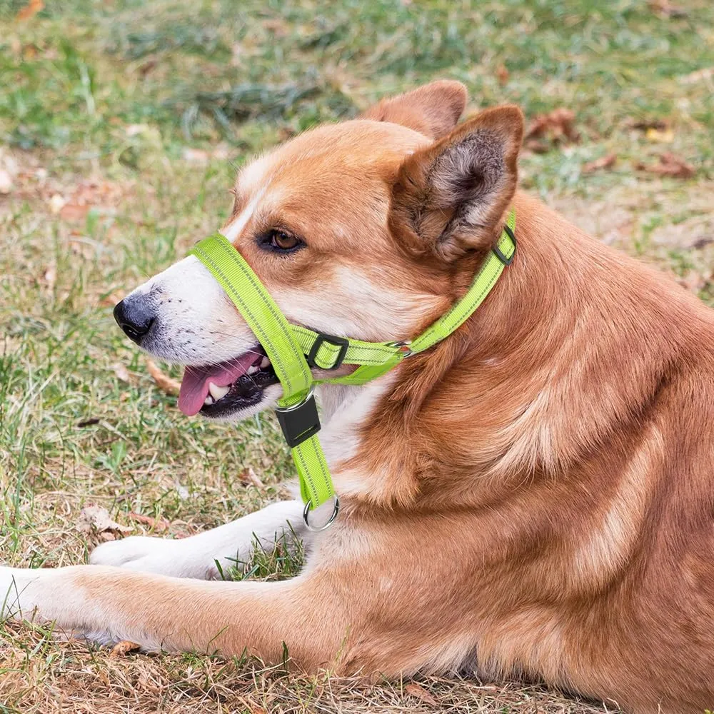 Candofly Dog Headcollar - Adjustable Dog Head Halter Reflective Head Collar Pet No-Pulling Collar for Easier Walk (Green, Large)