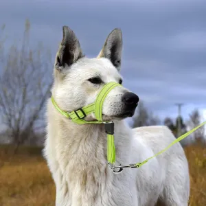 Candofly Dog Headcollar - Adjustable Dog Head Halter Reflective Head Collar Pet No-Pulling Collar for Easier Walk (Green, Large)