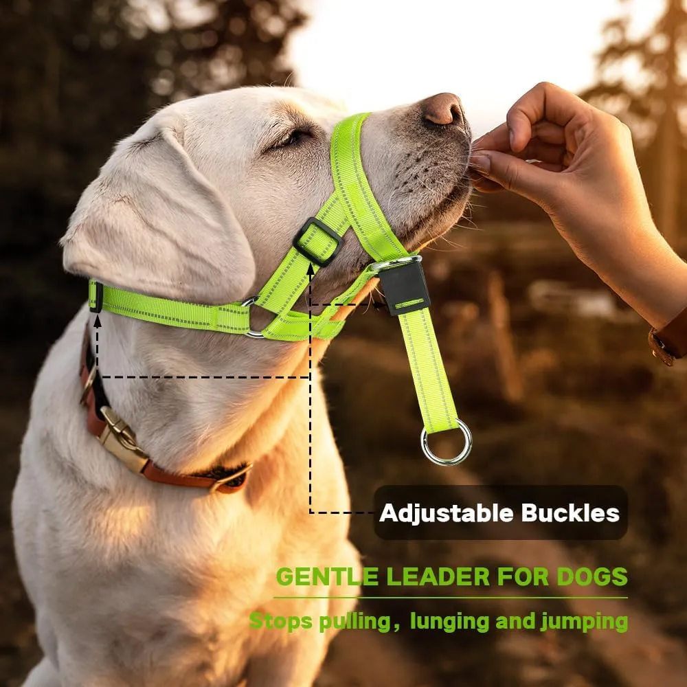 Candofly Dog Headcollar - Adjustable Dog Head Halter Reflective Head Collar Pet No-Pulling Collar for Easier Walk (Green, Large)