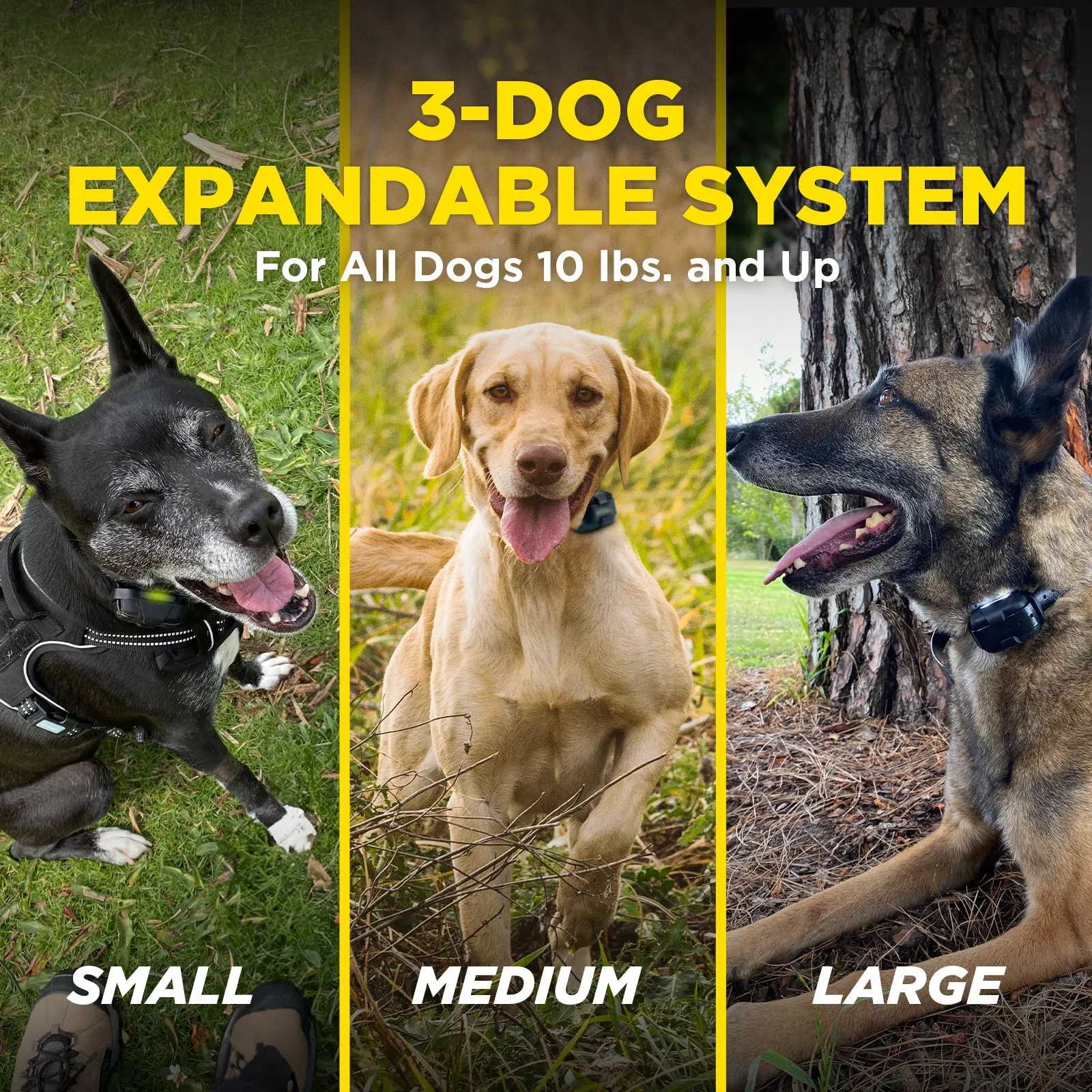 Dogtra 280X 1/2-Mile Range Training 1-Dog E-Collar System with LED Locate Light