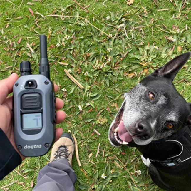 Dogtra 280X 1/2-Mile Range Training 1-Dog E-Collar System with LED Locate Light