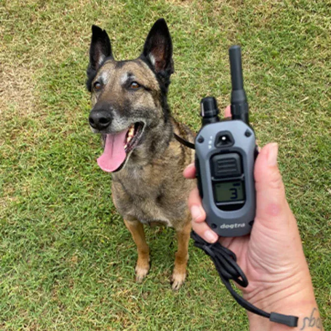 Dogtra 280X 1/2-Mile Range Training 1-Dog E-Collar System with LED Locate Light