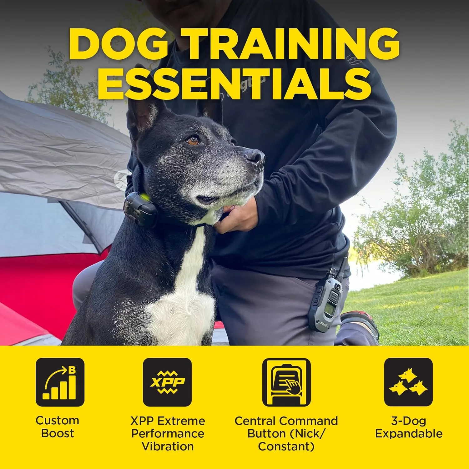 Dogtra 280X 1/2-Mile Range Training 1-Dog E-Collar System with LED Locate Light