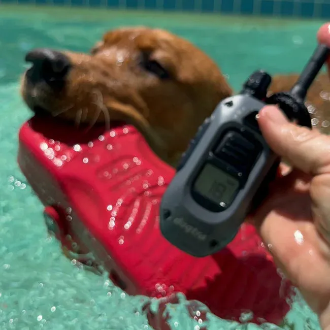 Dogtra 280X 1/2-Mile Range Training 1-Dog E-Collar System with LED Locate Light