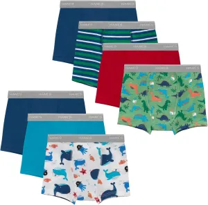 Hanes Trainer Boxer Briefs for Toddlers, Light Leaks Potty Training Underwear for Boys, Multipacks