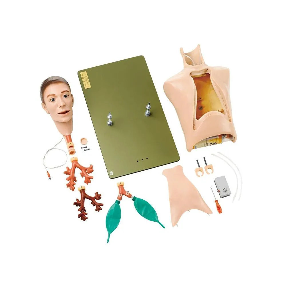 Scopin-Broncho-BOY II - Bronchoscopy and Anesthesiology Trainer
