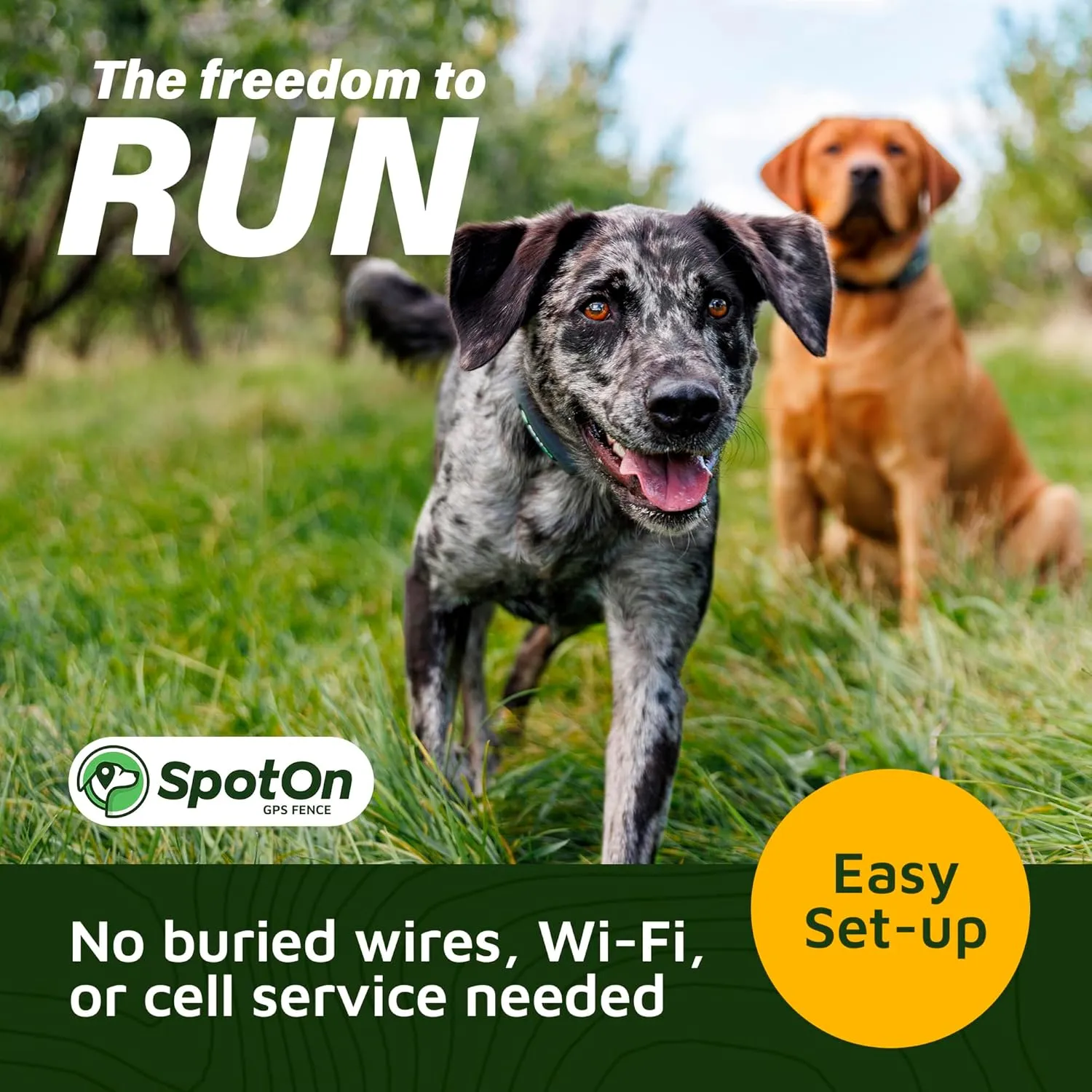 SpotOn GPS Wireless Dog Fence Collar, Accurate & Reliable, Unlimited Fences, 40  Hours Battery Life, No Subscription, Built in USA, Omni Collar Model, Small Dog Breed Neck Size 10"-14"