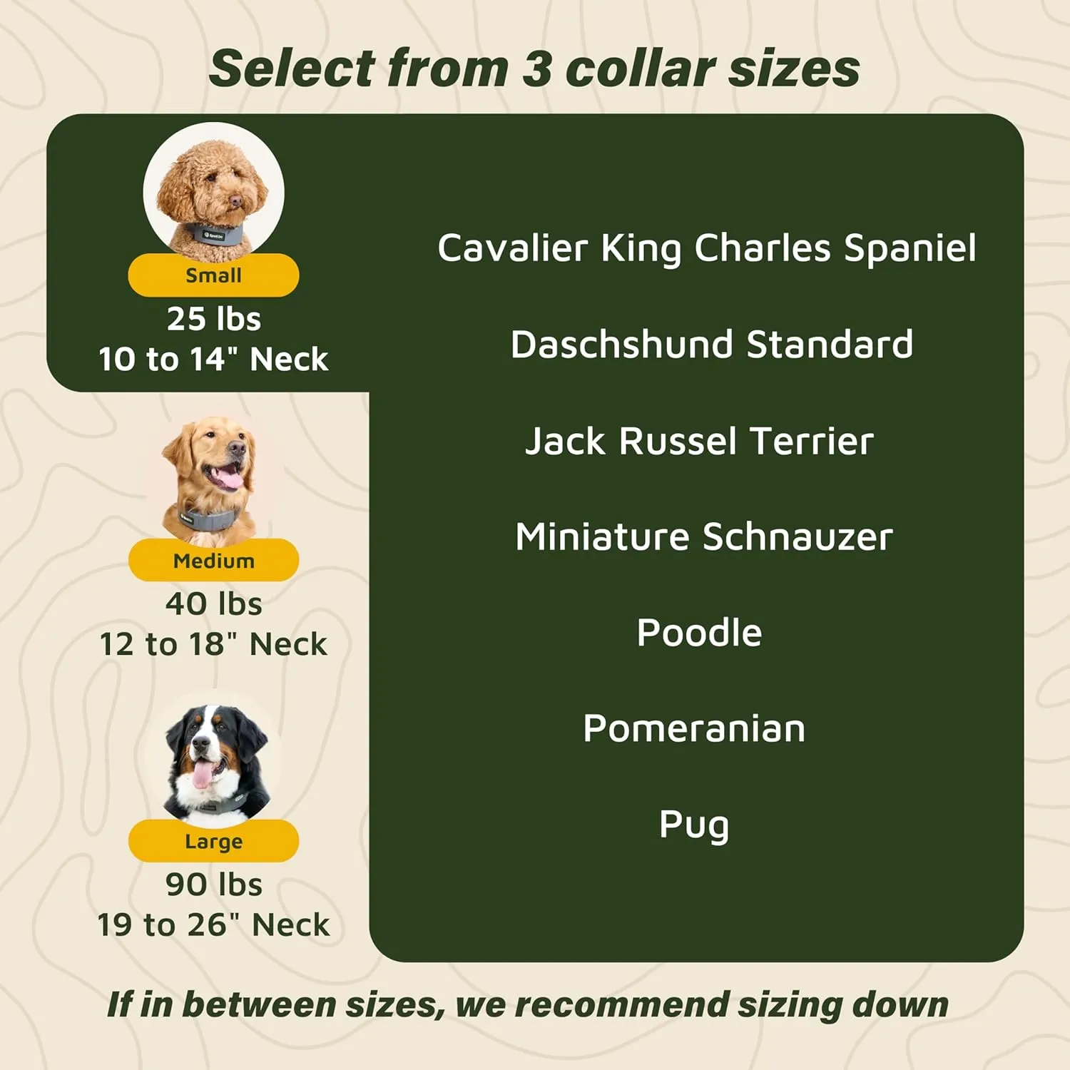 SpotOn GPS Wireless Dog Fence Collar, Accurate & Reliable, Unlimited Fences, 40  Hours Battery Life, No Subscription, Built in USA, Omni Collar Model, Small Dog Breed Neck Size 10"-14"
